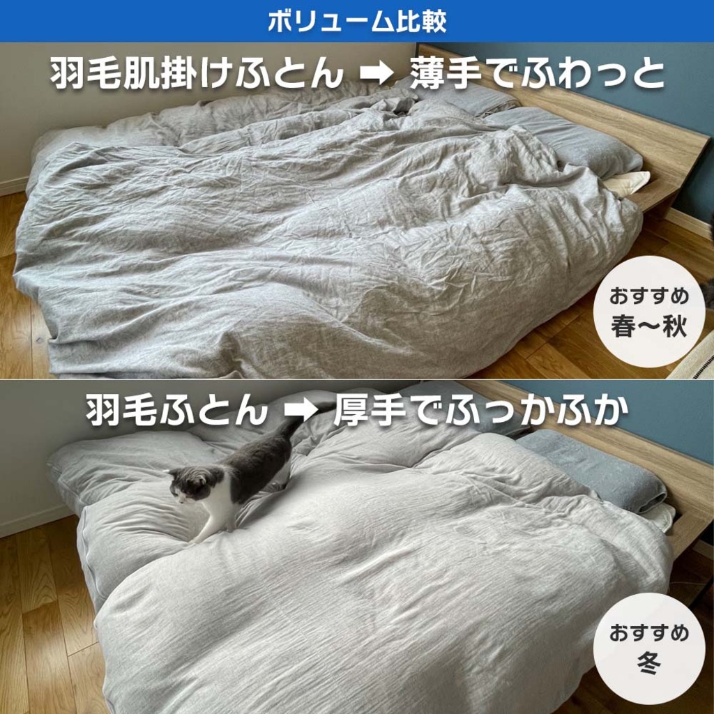 2枚セット特価】2枚合わせ毛布/バーチカル – 西川ストア公式本店