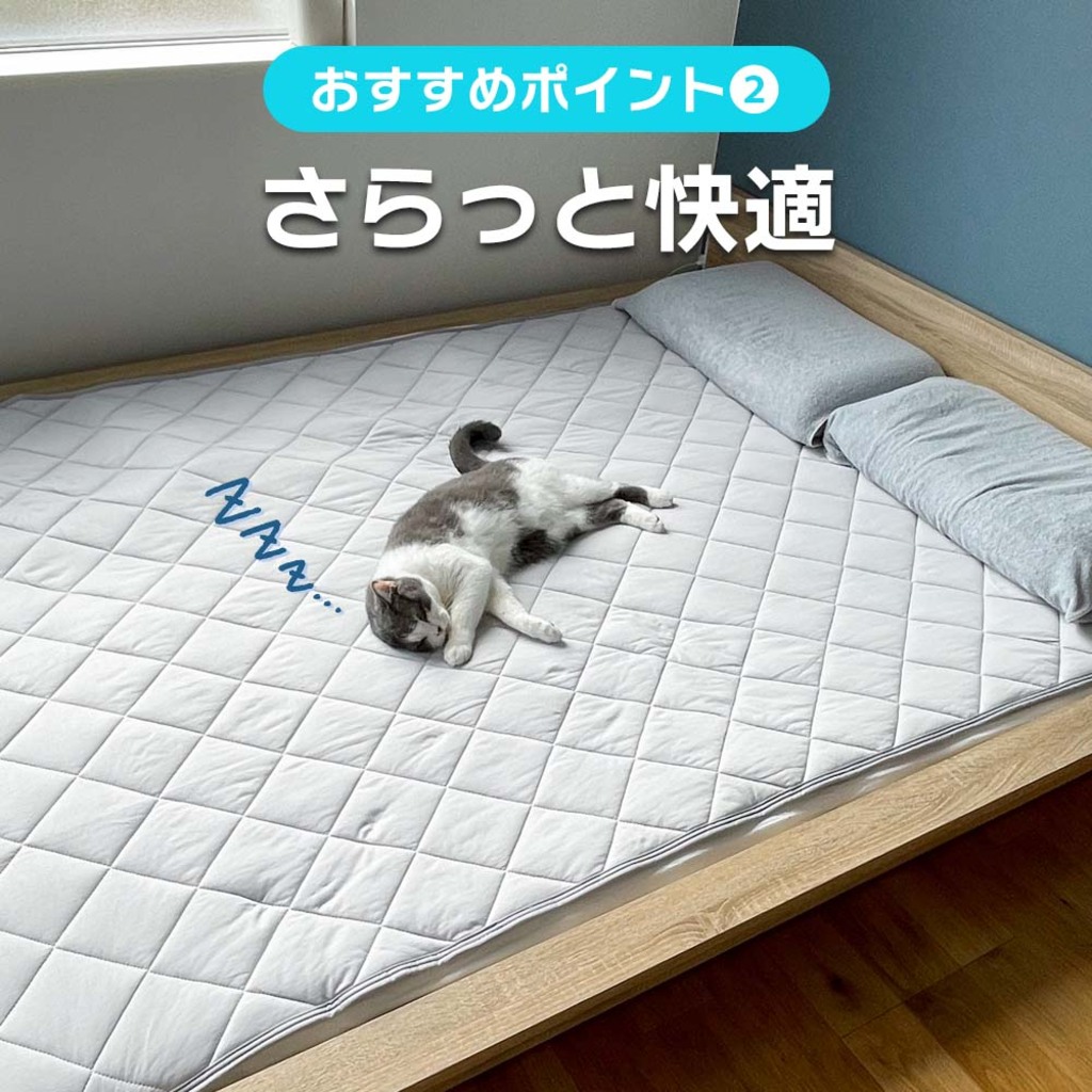 新品⭐️タグ付き❤️S サイズ ANEW ロゴ　バケハ　ホワイトリバーシブル 新作カラーが続々登場！最新バスケットボール5モデルが2021年2月25日