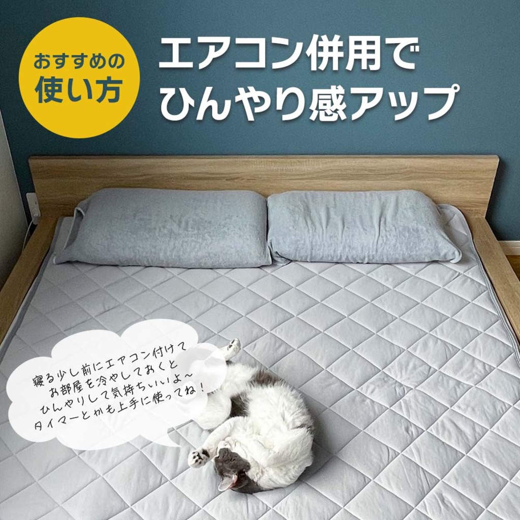 2枚セット特価】接触冷感リバーシブルケット （シングル）140×190cm