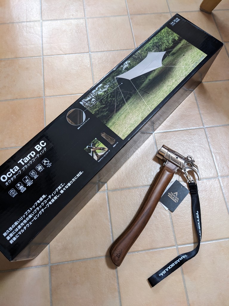 投稿写真