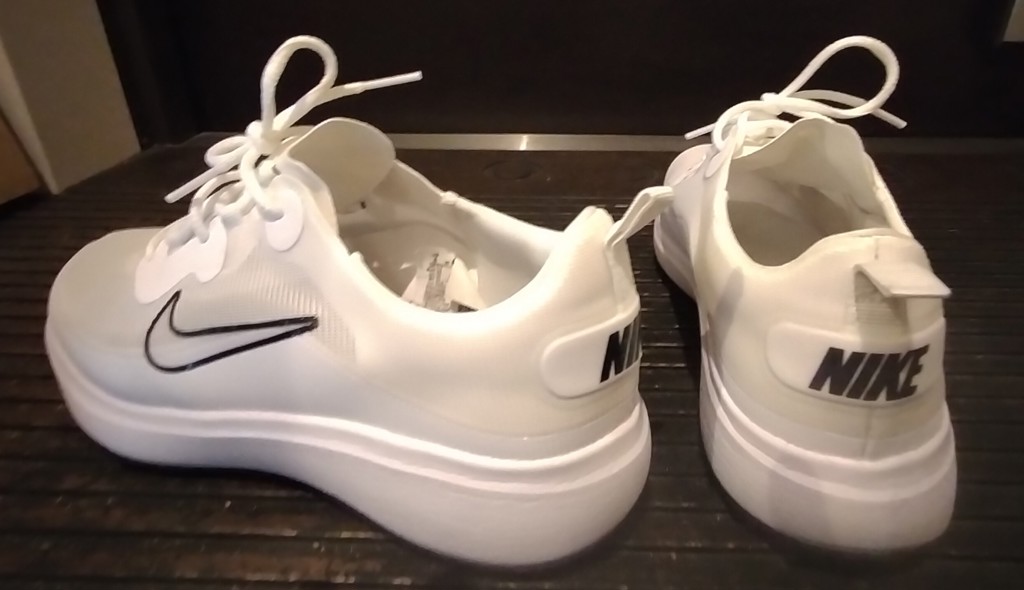 NIKEナイキ - ナイキ ウィメンズ ACE サマーライト DC0101-108/メガ