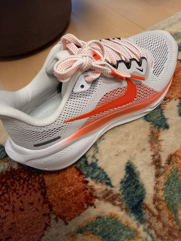 NIKEナイキ - ナイキ ウィメンズ エア ズーム ペガサス 41 FD2723-002