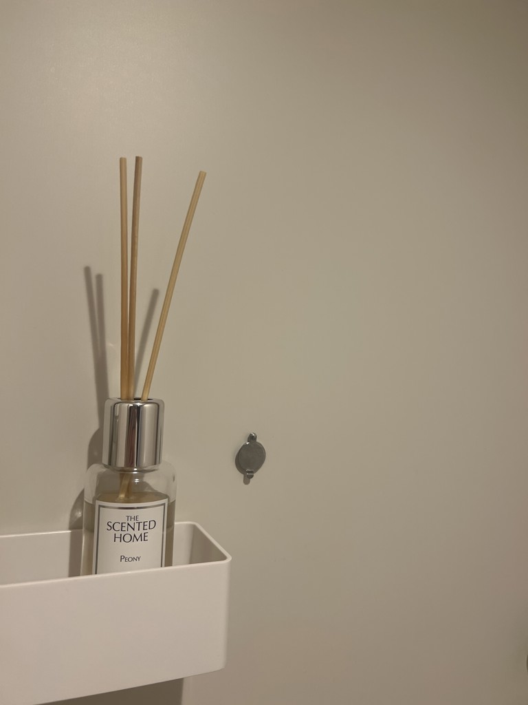 ホーリーピオーニ　250ml ディフューザー ピオニー 100ml ASHLEIGH&BURWOOD（アシュレイ