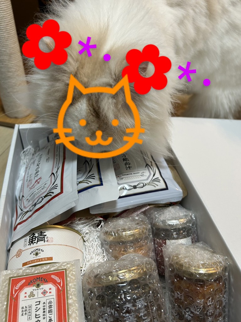 投稿写真