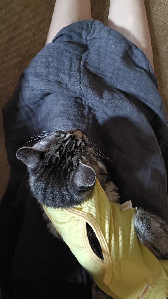ユーザー写真