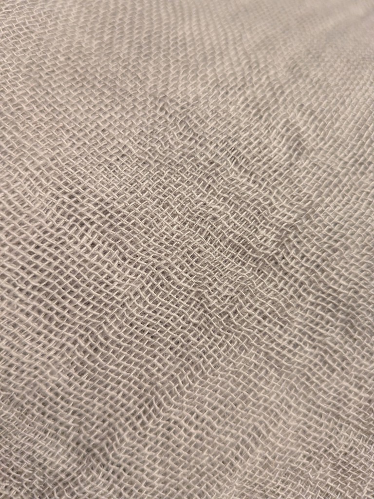 投稿写真