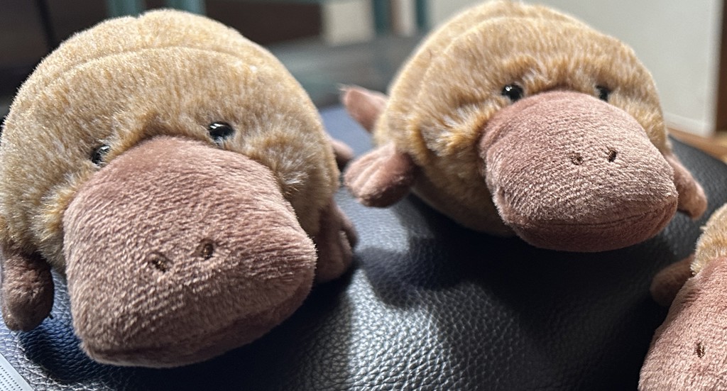 カモノハシぽちゃぬいぐるみ ぬいぐるみ キャラクター グッズ