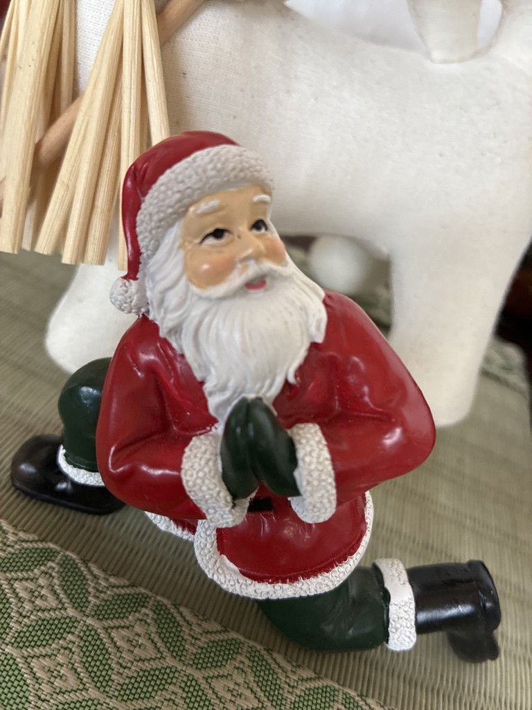 ヨガサンタ | Bleu Bleuet（ブルーブルーエ）公式通販