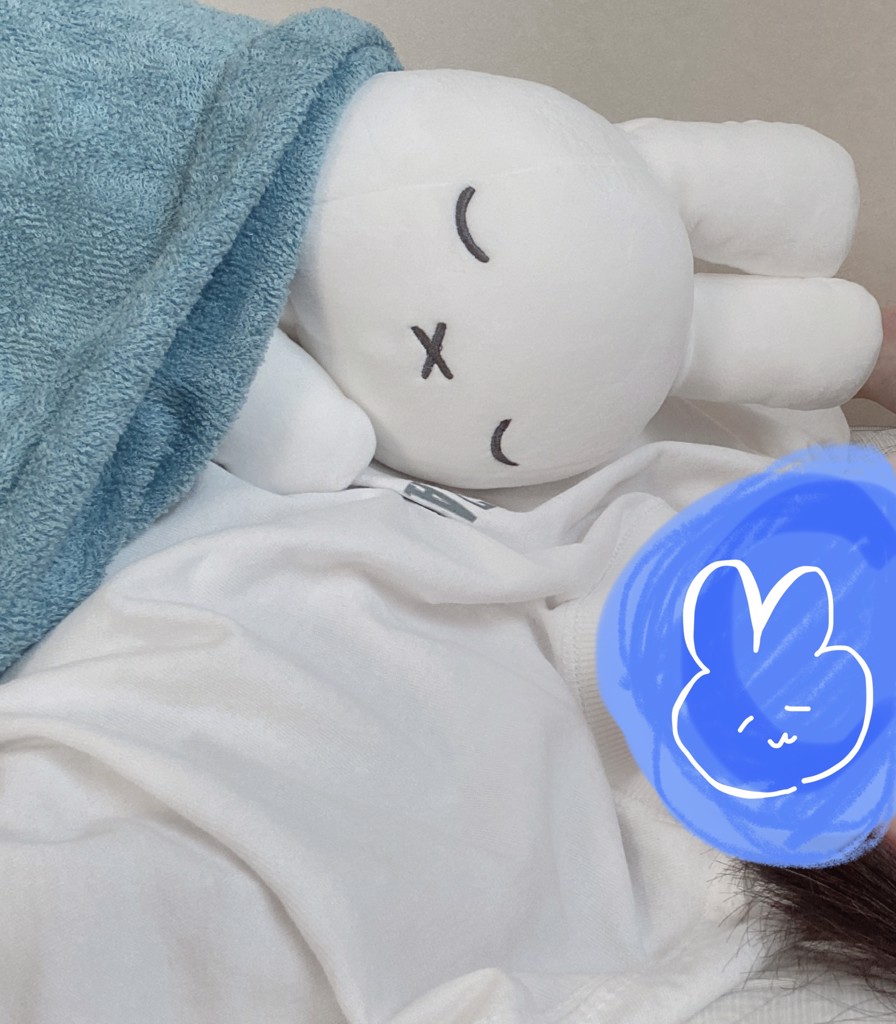 ブルーナすやすやフレンドぬいぐるみM ミッフィー miffy キャラクター グッズ 雑貨 ぬいぐるみ クッション ブルーエ ブルーブルーエ  bleubleuet 通販