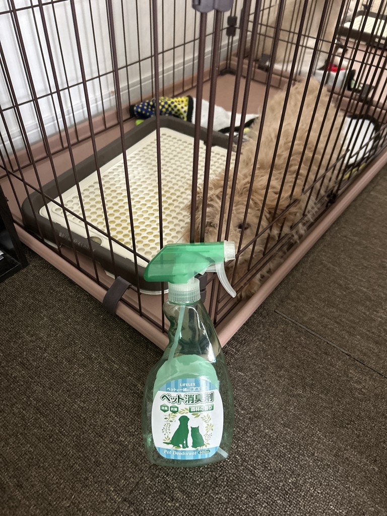 ペット用消臭スプレー 森林 本体 500ml(本体 500ml): ペット