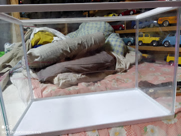 LIFELEX おさかな水きれいセット 300(300): ペット|ホームセンター