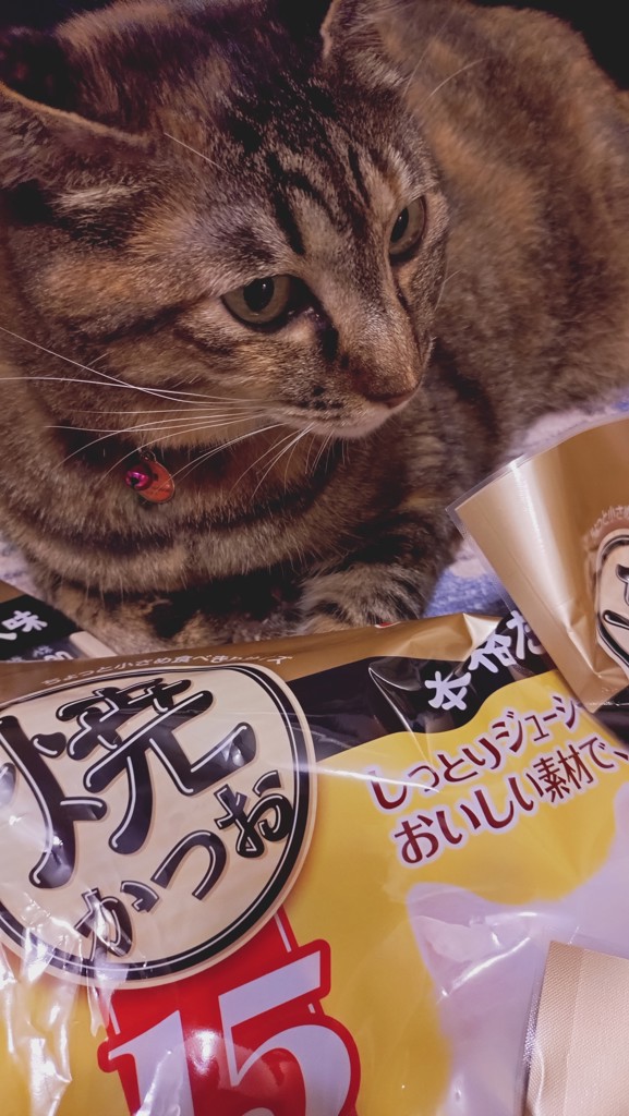 いなばペットフード 焼きかつお 15本入 本格だしミックス味(焼き