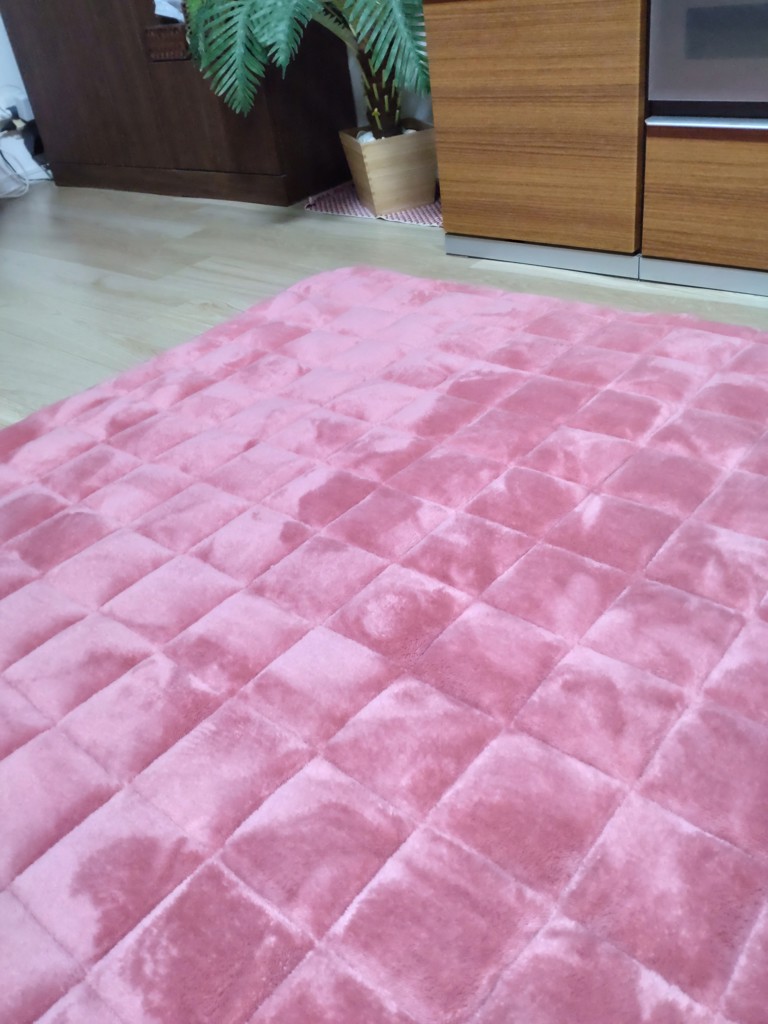 投稿写真