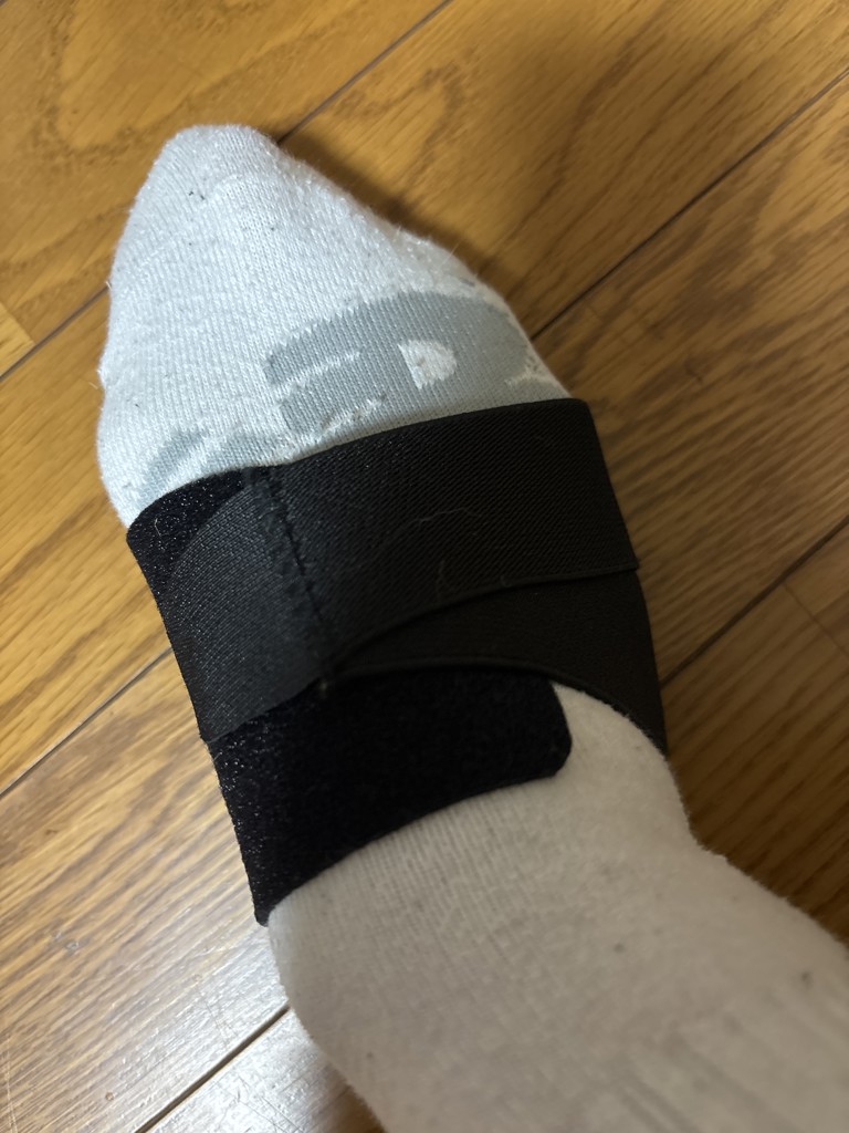 投稿写真