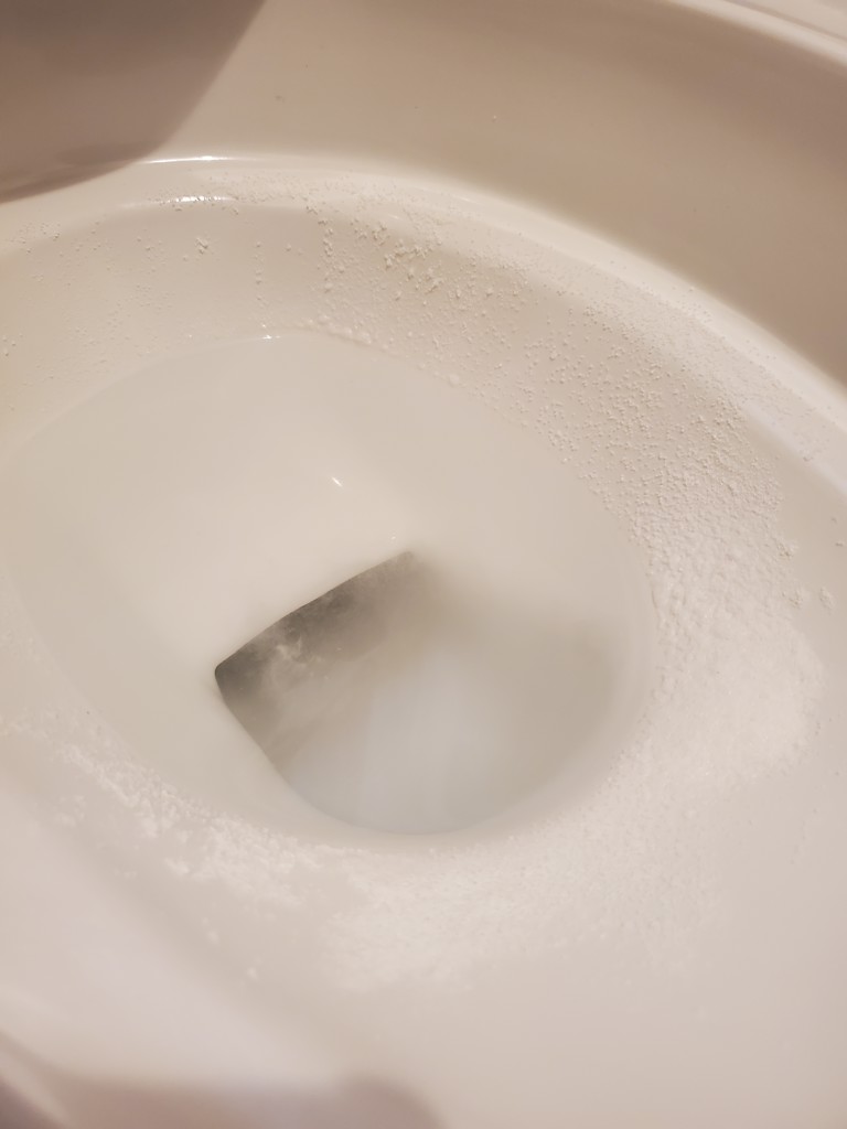 投稿写真