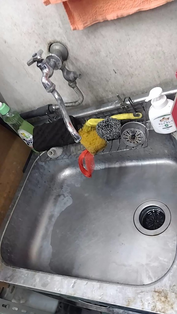 投稿写真