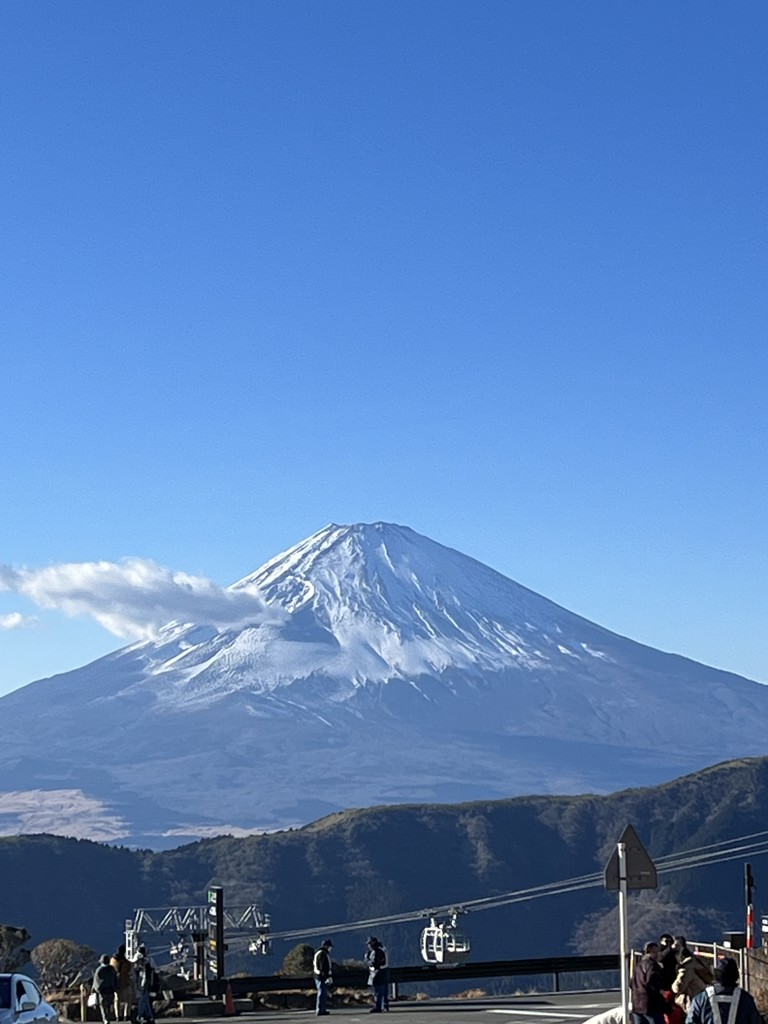 投稿写真