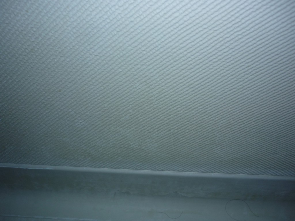 ユーザー写真