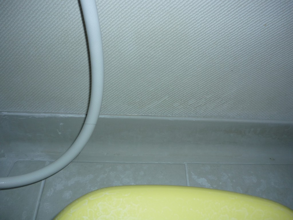 ユーザー写真