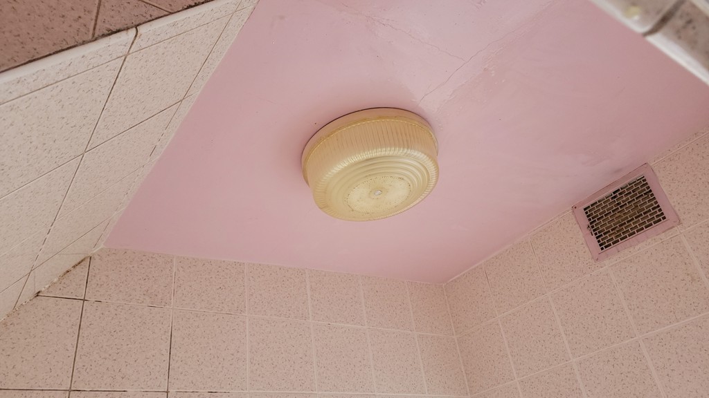 ユーザー写真