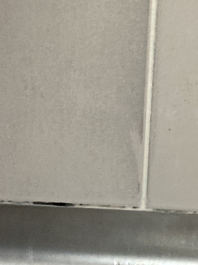 ユーザー写真
