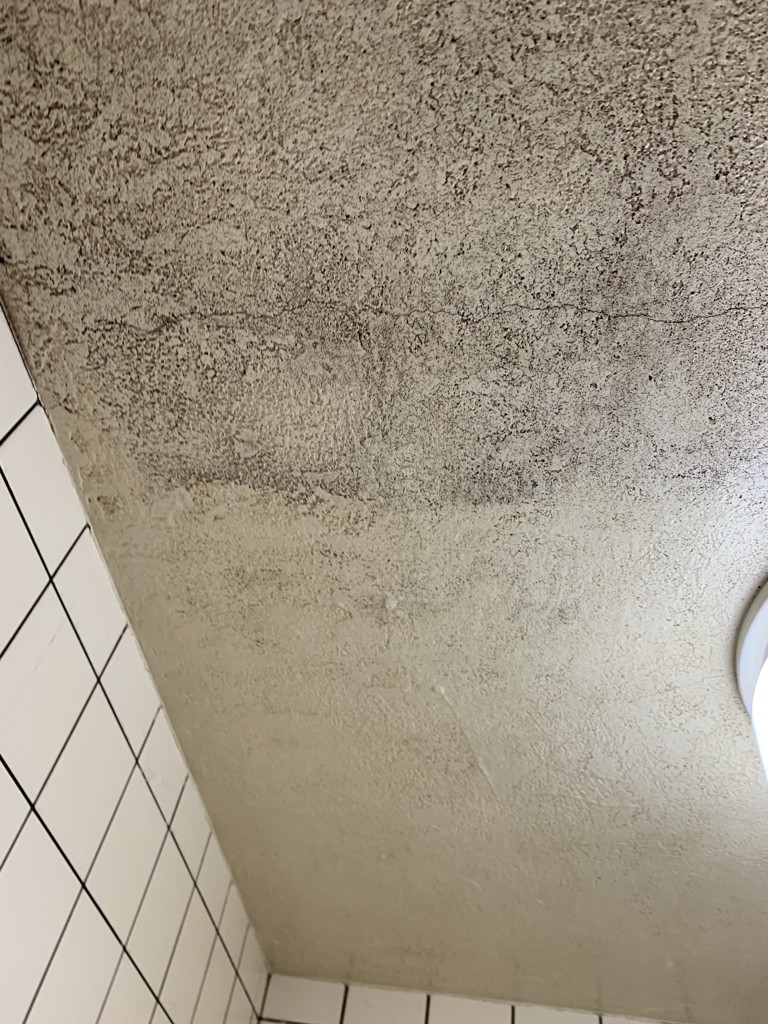 ユーザー写真
