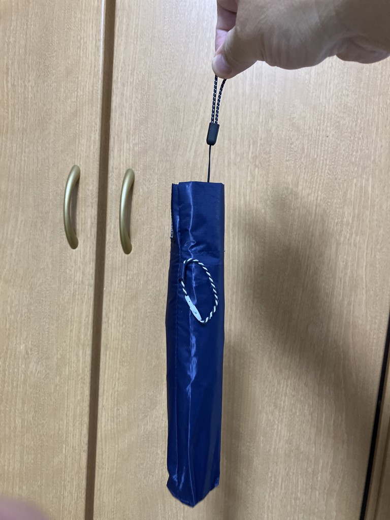 投稿写真