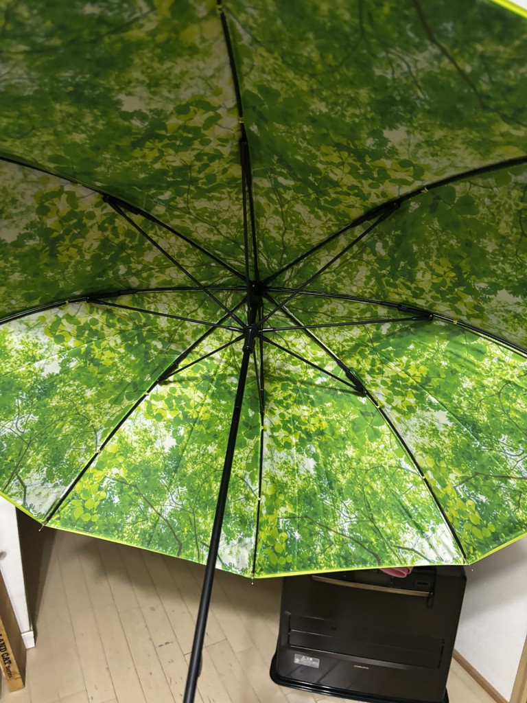 投稿写真