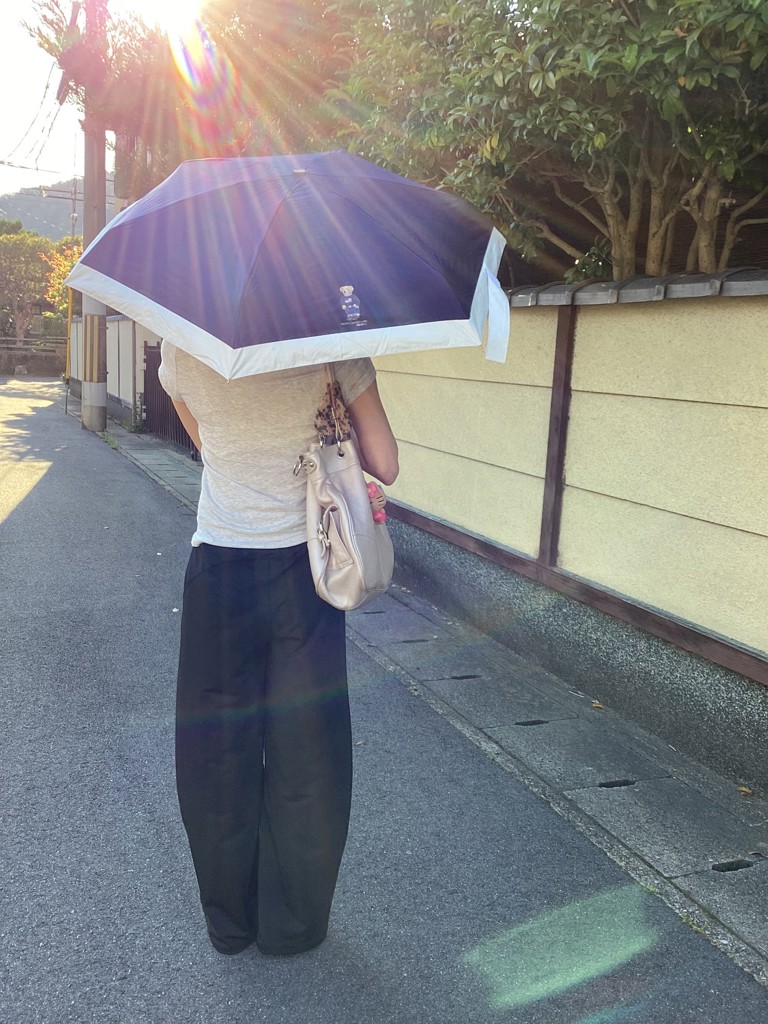 投稿写真
