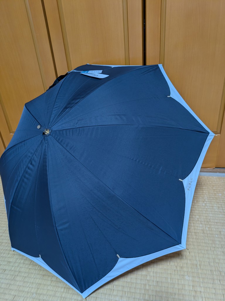 投稿写真
