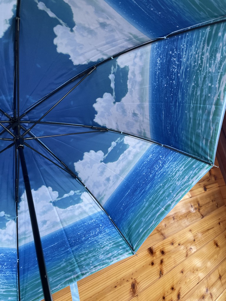 投稿写真