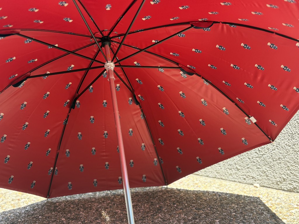 投稿写真