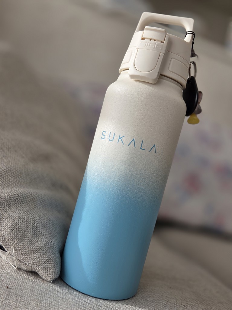 新品未使用！SUKALA ヨガウェア➕水素水ボトル➕ヨガケース➕ ラグ　グリーン SUKALA×SIGG 水素水ボトル 水素水バッグ セット ホットヨガ LAVAの通販
