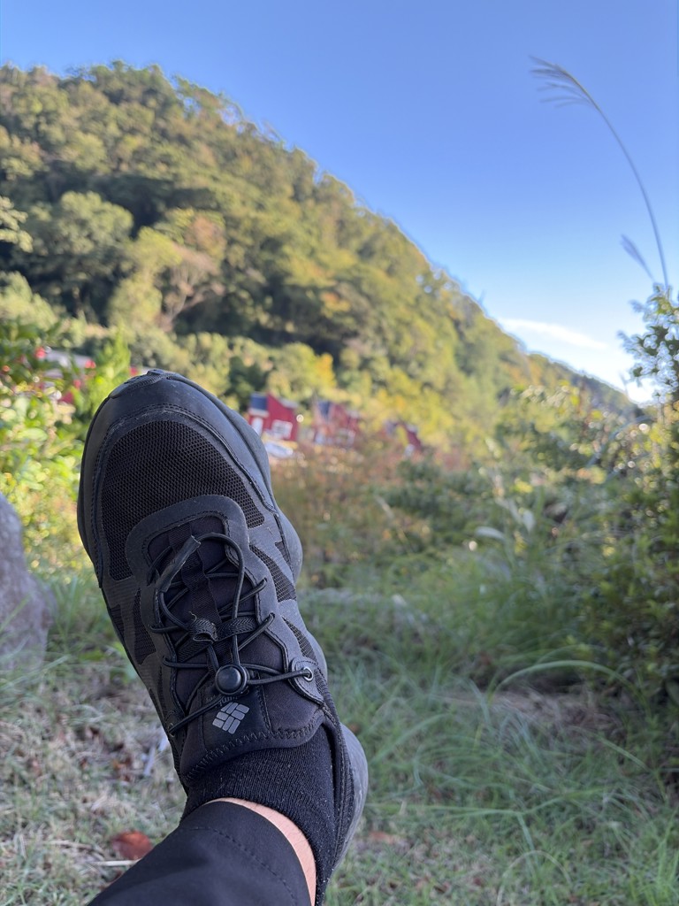 投稿写真