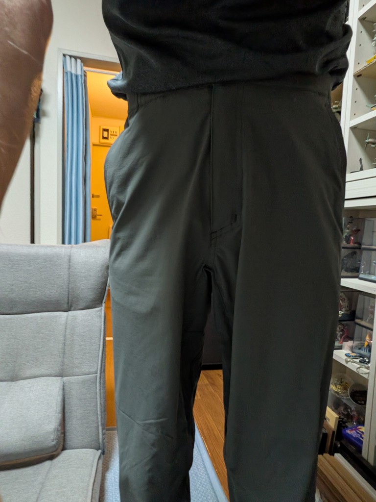 投稿写真