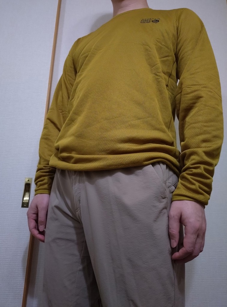 投稿写真