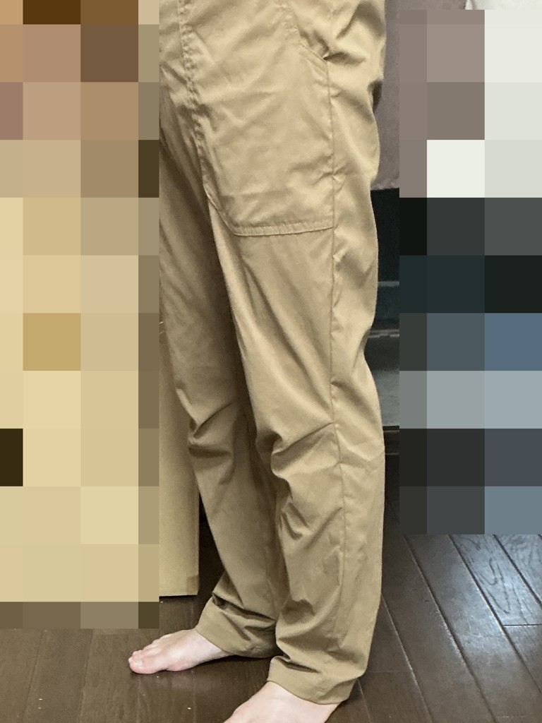 投稿写真