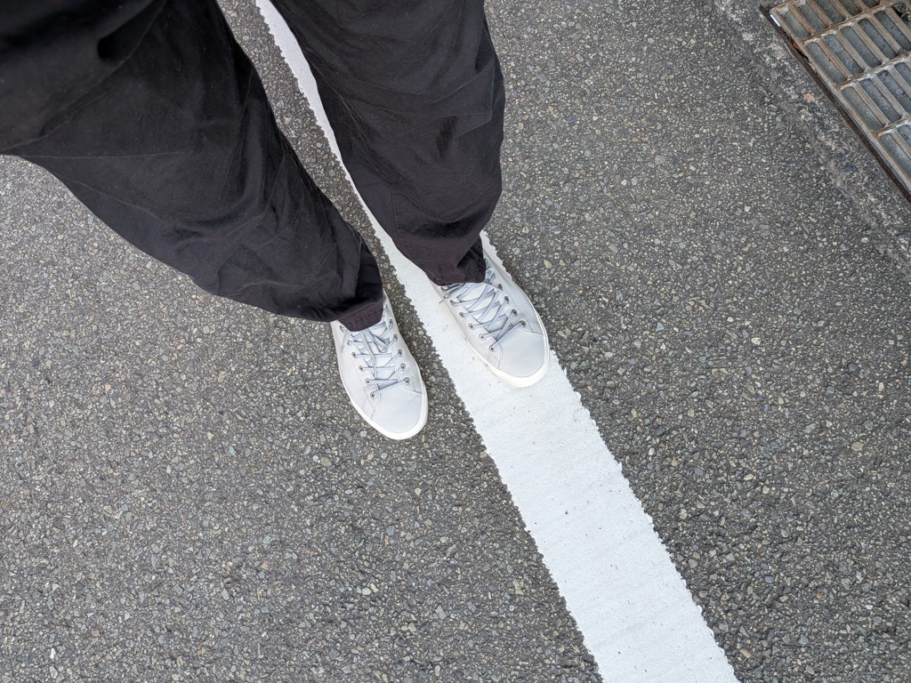 投稿写真