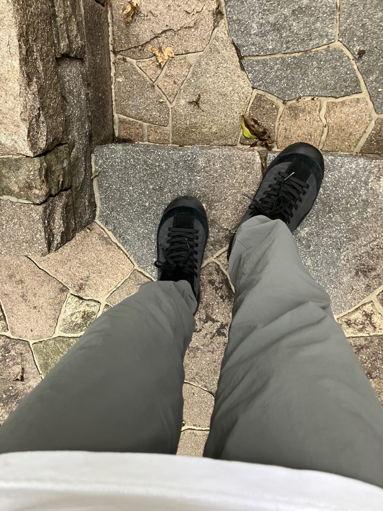 投稿写真