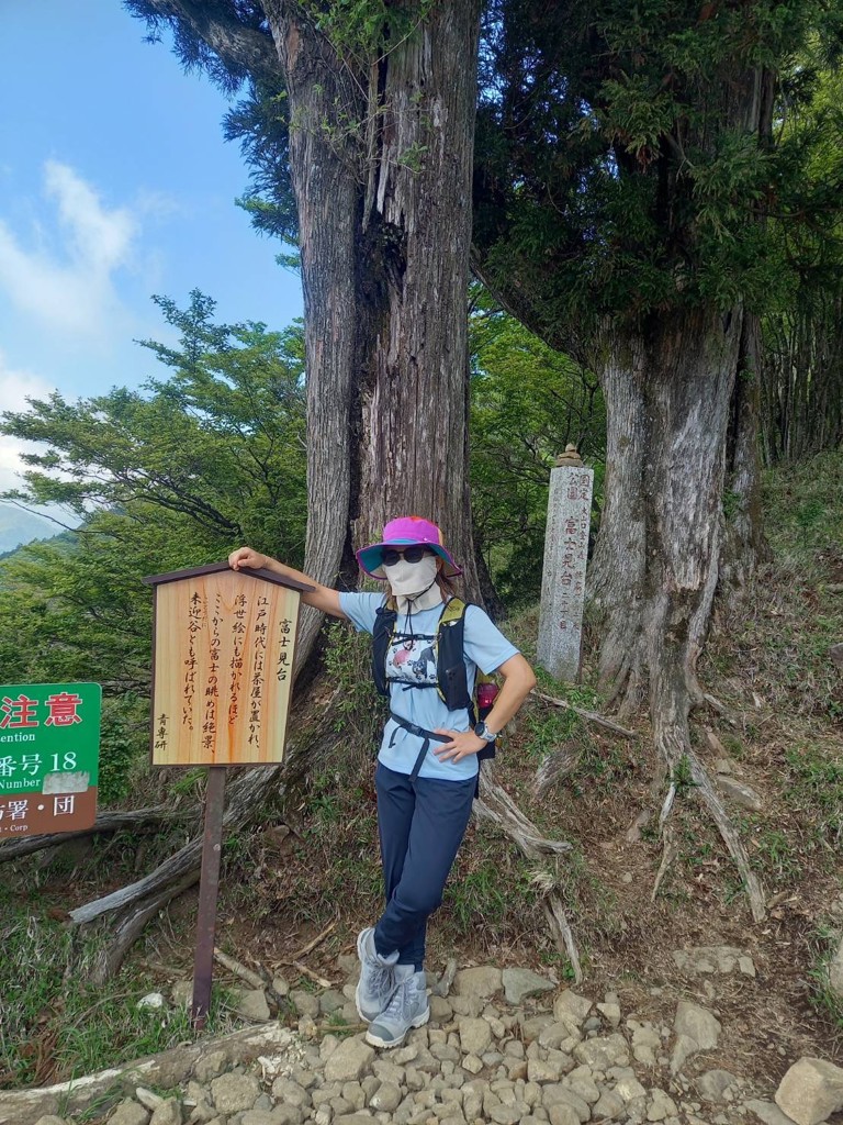 投稿写真