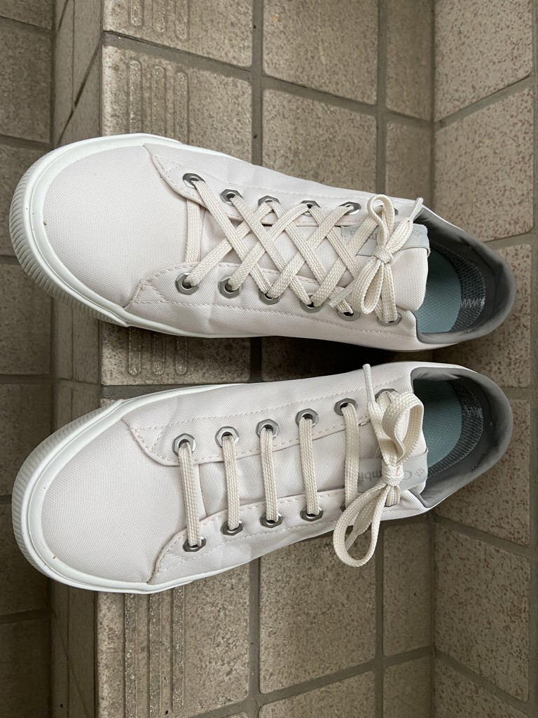 投稿写真
