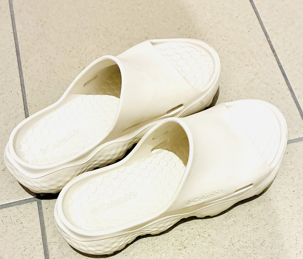 投稿写真