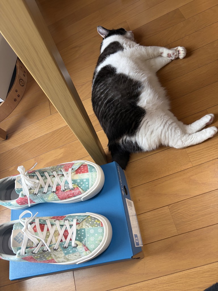 投稿写真