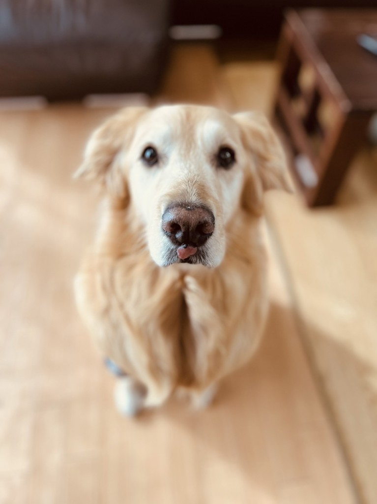 ユーザー写真