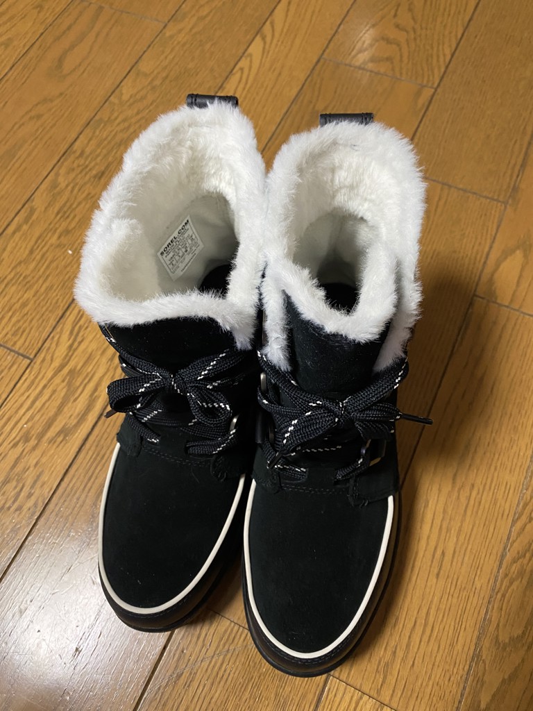 投稿写真