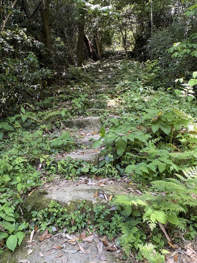 投稿写真