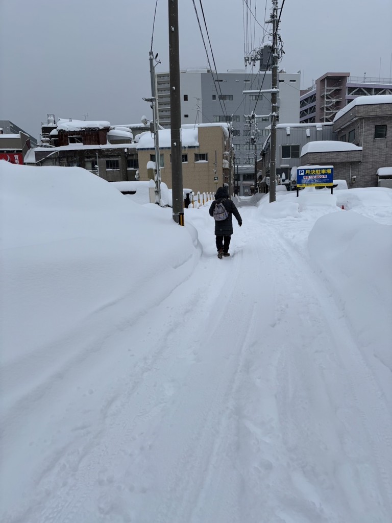 投稿写真
