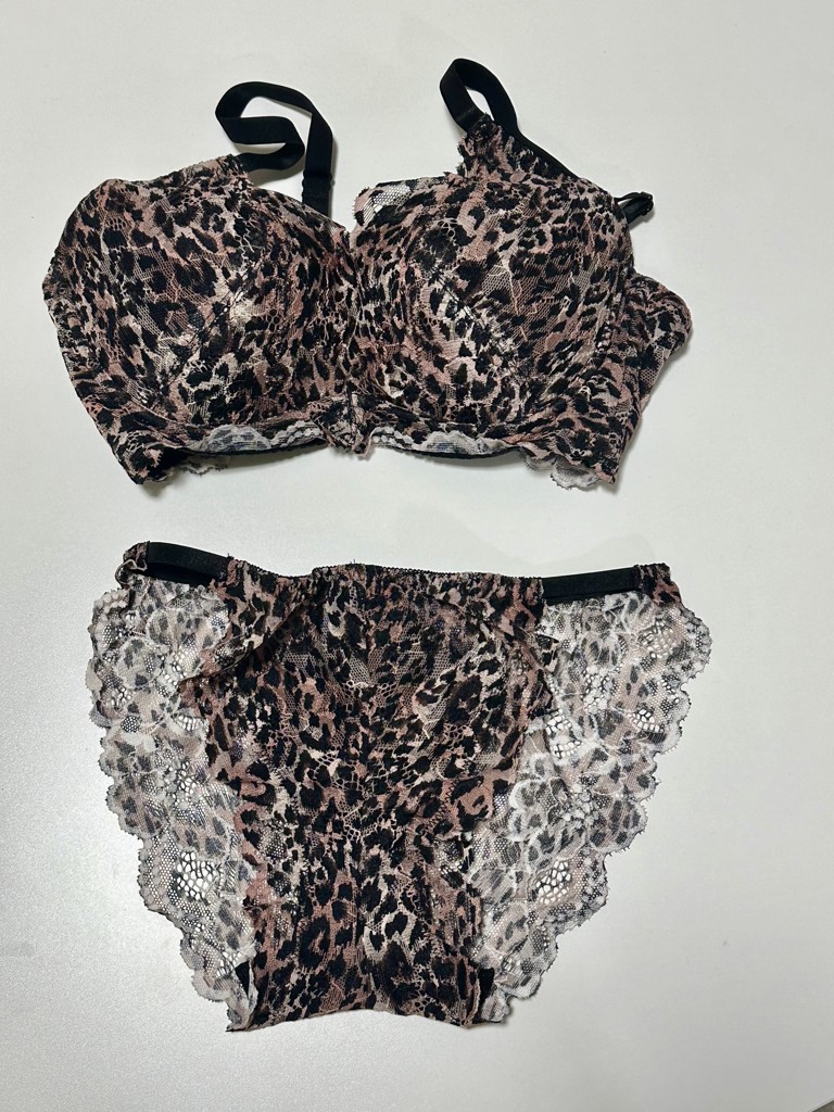 投稿写真