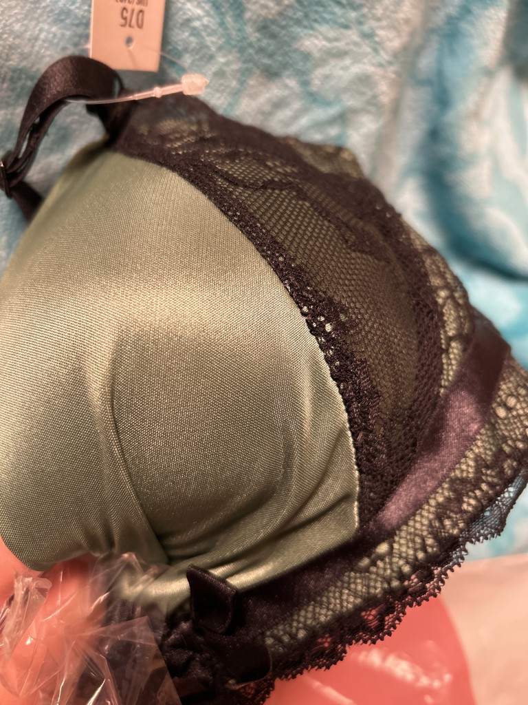 投稿写真