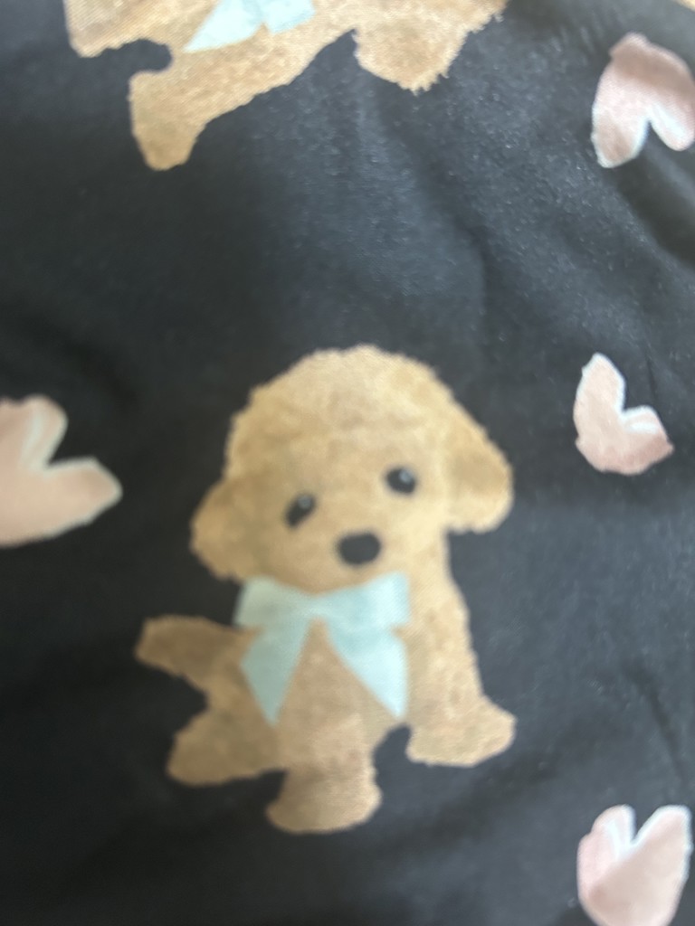 投稿写真
